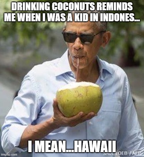Obama Coconut | DRINKING COCONUTS REMINDS ME WHEN I WAS A KID IN INDONES... I MEAN...HAWAII | image tagged in obama coconut | made w/ Imgflip meme maker