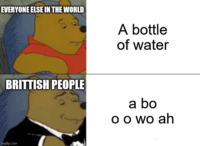 Tuxedo Winnie The Pooh Meme | EVERYONE ELSE IN THE WORLD; A bottle of water; BRITTISH PEOPLE; a bo o o wo ah | image tagged in memes,tuxedo winnie the pooh | made w/ Imgflip meme maker