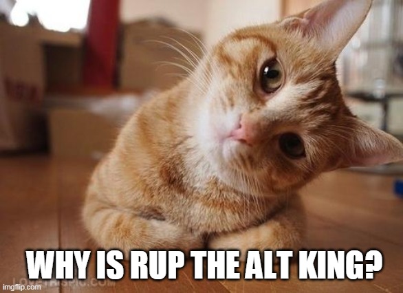 Curious Question Cat | WHY IS RUP THE ALT KING? | image tagged in curious question cat | made w/ Imgflip meme maker