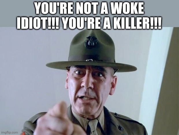 R. Lee Ermy  | YOU'RE NOT A WOKE IDIOT!!! YOU'RE A KILLER!!! | image tagged in r lee ermy | made w/ Imgflip meme maker