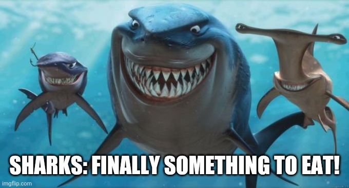 Finding Nemo Sharks | SHARKS: FINALLY SOMETHING TO EAT! | image tagged in finding nemo sharks | made w/ Imgflip meme maker