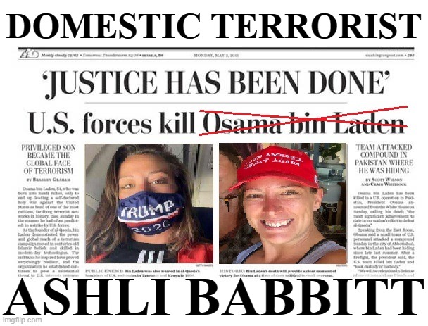 DOMESTIC TERRORIST | DOMESTIC TERRORIST; ASHLI BABBITT | image tagged in domestic,terrorist,ashli babbitt,trump,republican,maga | made w/ Imgflip meme maker
