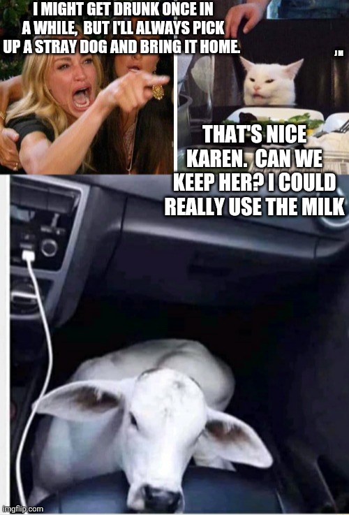 I MIGHT GET DRUNK ONCE IN A WHILE,  BUT I'LL ALWAYS PICK UP A STRAY DOG AND BRING IT HOME. J M; THAT'S NICE KAREN.  CAN WE KEEP HER? I COULD REALLY USE THE MILK | image tagged in smudge the cat | made w/ Imgflip meme maker