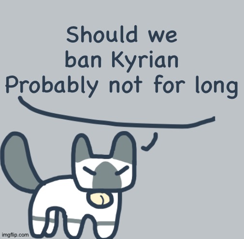 Cat | Should we ban Kyrian
Probably not for long | image tagged in cat | made w/ Imgflip meme maker