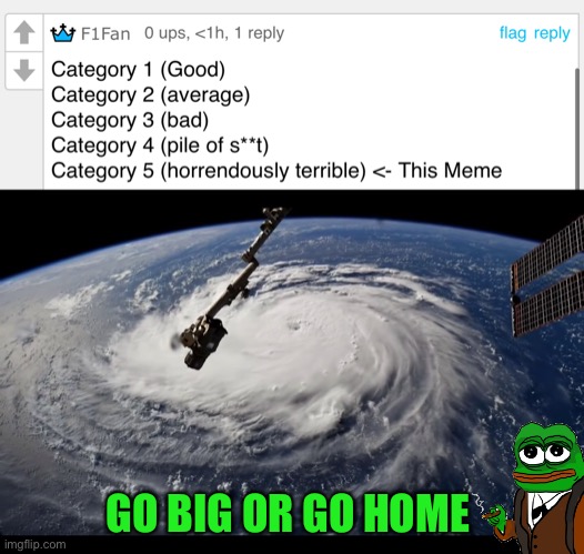 Vote Pepe party, the other parties are pro flat earth | GO BIG OR GO HOME | image tagged in pepe party | made w/ Imgflip meme maker