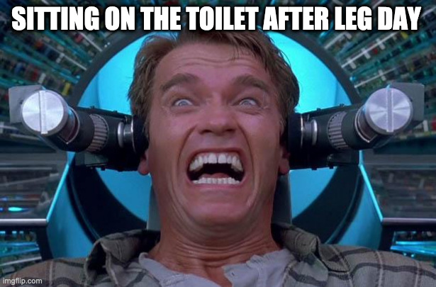 Arnie Total Recall | SITTING ON THE TOILET AFTER LEG DAY | image tagged in arnie total recall | made w/ Imgflip meme maker