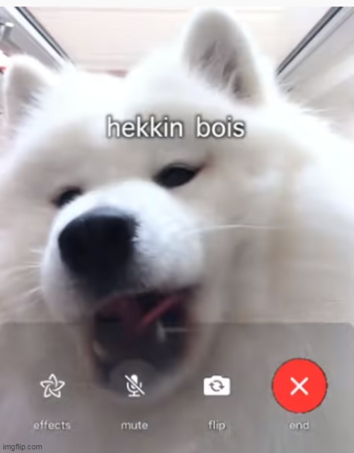 imagine having a face call and you see this | made w/ Imgflip meme maker