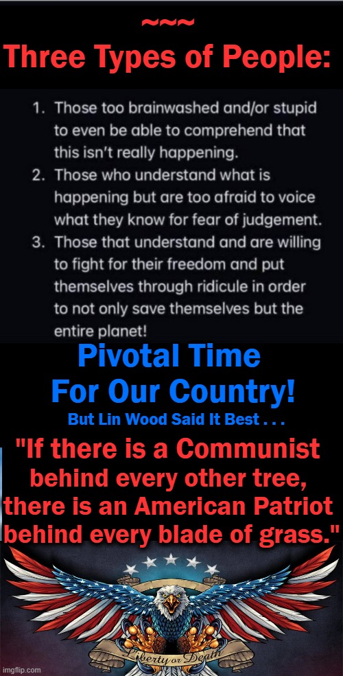 Americanism and Communism are Incompatible | ~~~; Three Types of People:; Pivotal Time 
For Our Country! But Lin Wood Said It Best . . . "If there is a Communist; behind every other tree, 
there is an American Patriot; behind every blade of grass." | image tagged in politics,choices,america,patriotism,communism | made w/ Imgflip meme maker