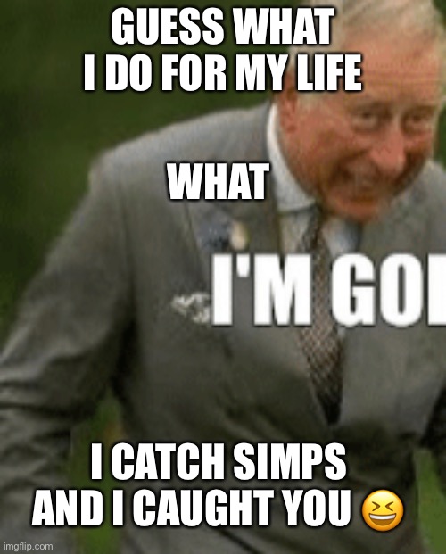 Simp catcher | GUESS WHAT I DO FOR MY LIFE; WHAT; I CATCH SIMPS AND I CAUGHT YOU 😆 | image tagged in simp,catcher,im going to catch youu | made w/ Imgflip meme maker