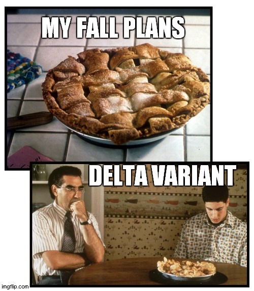 Delta Pie | MY FALL PLANS; DELTA VARIANT | image tagged in coronavirus,pie | made w/ Imgflip meme maker
