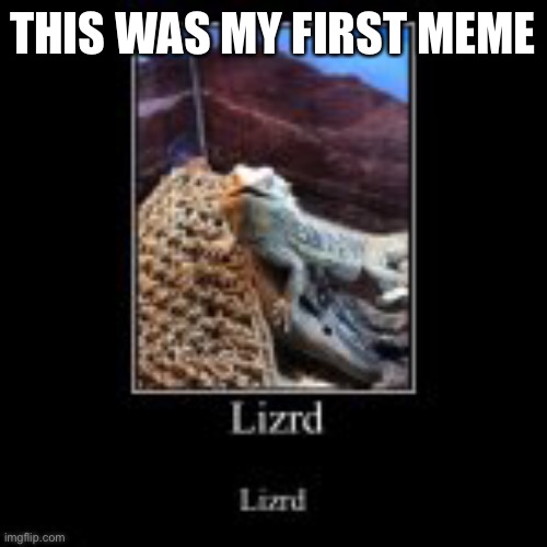 Lizrd | THIS WAS MY FIRST MEME | image tagged in lizard | made w/ Imgflip meme maker