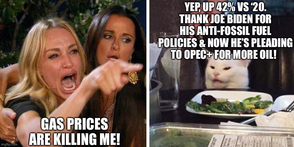 Gas prices up 42% v.s. 2020, Biden BEGS OPEC+ to increase production as we head into ‘22 elections | YEP, UP 42% VS ‘20. THANK JOE BIDEN FOR HIS ANTI-FOSSIL FUEL POLICIES & NOW HE’S PLEADING TO OPEC+ FOR MORE OIL! GAS PRICES ARE KILLING ME! | image tagged in smudge the cat,political meme,inflation gasoline,biden begs opec to produce more oil,biden anti fossil fuel policies | made w/ Imgflip meme maker