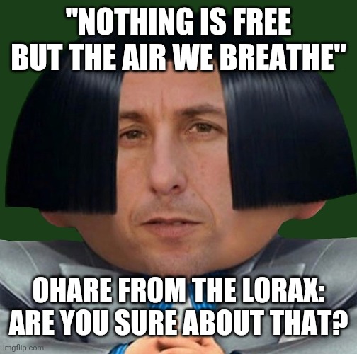 ohare adam | "NOTHING IS FREE BUT THE AIR WE BREATHE"; OHARE FROM THE LORAX: ARE YOU SURE ABOUT THAT? | image tagged in ohare adam | made w/ Imgflip meme maker