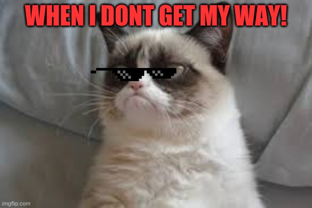 Grumpy cat does not get his way..... | WHEN I DONT GET MY WAY! | image tagged in grumpy cat | made w/ Imgflip meme maker