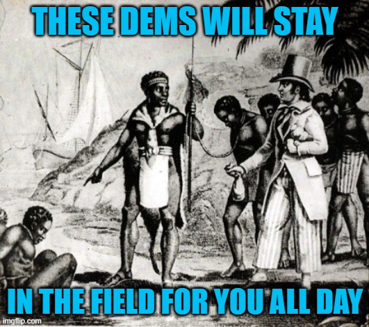 black slavery | THESE DEMS WILL STAY IN THE FIELD FOR YOU ALL DAY | image tagged in black slavery | made w/ Imgflip meme maker