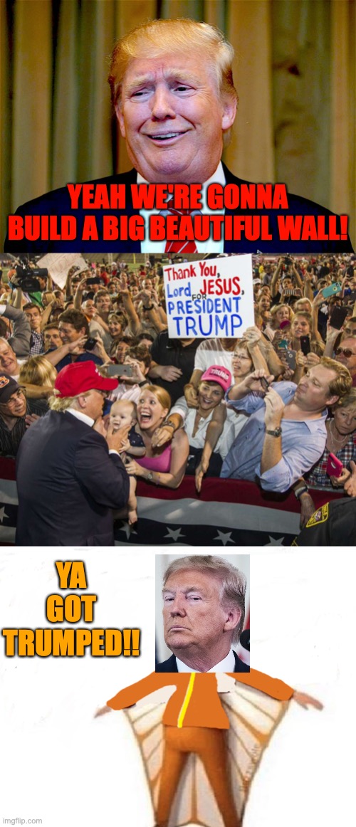 YEAH WE'RE GONNA BUILD A BIG BEAUTIFUL WALL! YA GOT TRUMPED!! | image tagged in trump dumb,trump rally,you just got vectored blank | made w/ Imgflip meme maker