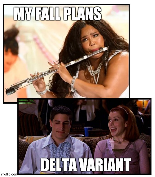 fall plans | MY FALL PLANS; DELTA VARIANT | image tagged in coronavirus,flute | made w/ Imgflip meme maker