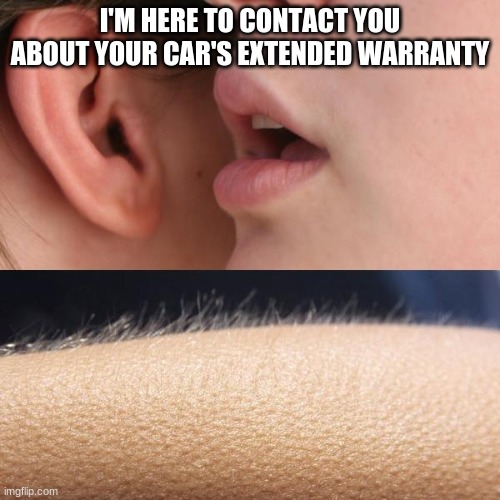 Whisper and Goosebumps | I'M HERE TO CONTACT YOU ABOUT YOUR CAR'S EXTENDED WARRANTY | image tagged in whisper and goosebumps | made w/ Imgflip meme maker