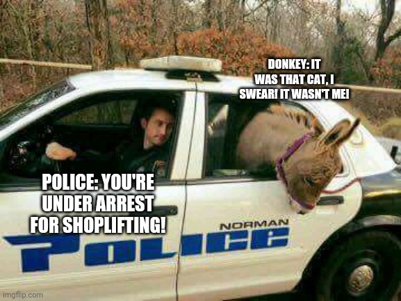 Under Donkyrrested! | DONKEY: IT WAS THAT CAT, I SWEAR! IT WASN'T ME! POLICE: YOU'RE UNDER ARREST FOR SHOPLIFTING! | image tagged in donkey in police car,police,officer,donkey,shoplifting,cat | made w/ Imgflip meme maker