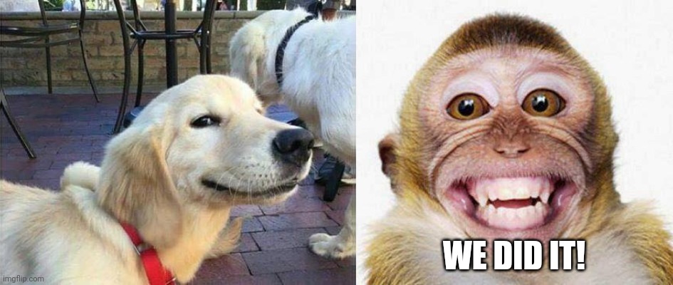 WE DID IT! | image tagged in dog smiling,monkey smile | made w/ Imgflip meme maker