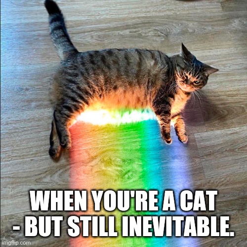 Thanos Cat | WHEN YOU'RE A CAT - BUT STILL INEVITABLE. | image tagged in rainbow cat | made w/ Imgflip meme maker