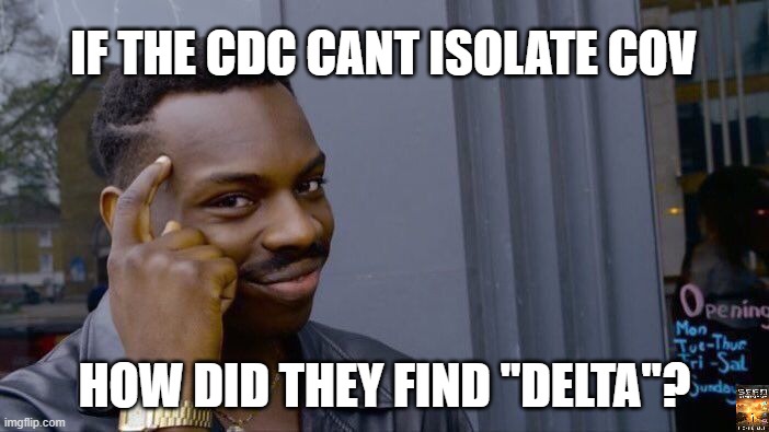 coof | IF THE CDC CANT ISOLATE COV; HOW DID THEY FIND "DELTA"? | image tagged in memes,roll safe think about it | made w/ Imgflip meme maker
