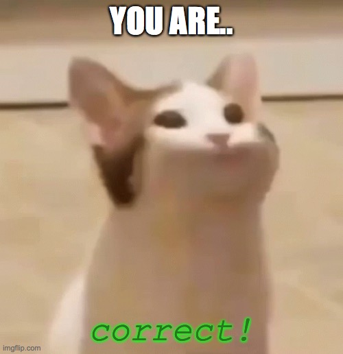 YOU ARE.. correct! | made w/ Imgflip meme maker