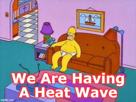 heat wave | We Are Having A Heat Wave | image tagged in heat wave | made w/ Imgflip meme maker