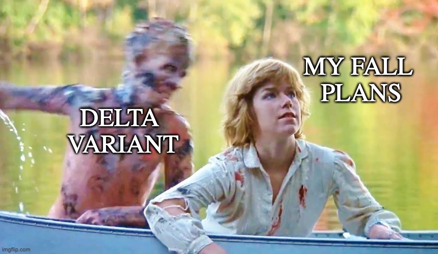 some real Friday (the 13th) vibes | MY FALL 
PLANS; DELTA 
VARIANT | image tagged in friday the 13th,delta,covid,jason,camp crystal lake,get the shot | made w/ Imgflip meme maker
