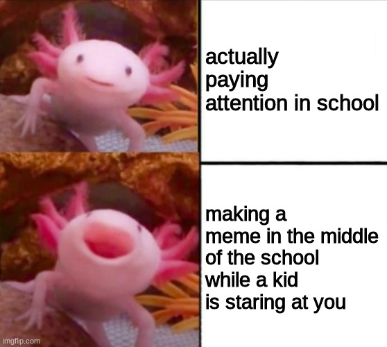 based on a true story | actually paying attention in school; making a meme in the middle of the school while a kid is staring at you | image tagged in axolotl drake | made w/ Imgflip meme maker