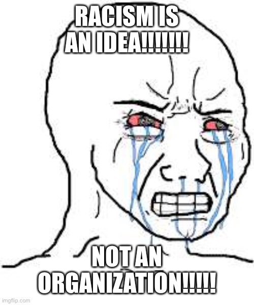 Wojak  | RACISM IS AN IDEA!!!!!!! NOT AN ORGANIZATION!!!!! | image tagged in wojak | made w/ Imgflip meme maker