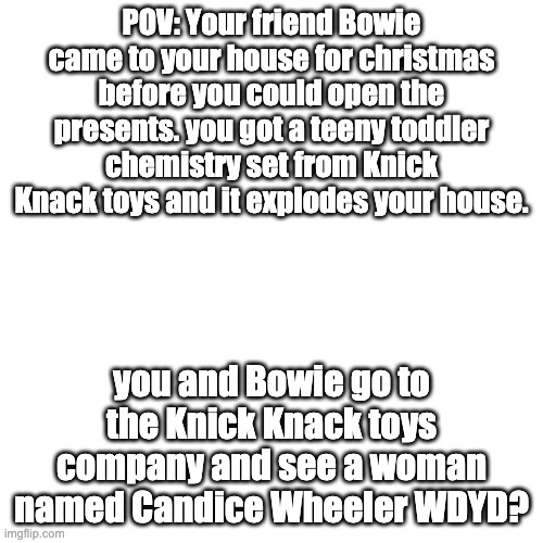 a some assembly required Rp! | POV: Your friend Bowie came to your house for christmas before you could open the presents. you got a teeny toddler chemistry set from Knick Knack toys and it explodes your house. you and Bowie go to the Knick Knack toys company and see a woman named Candice Wheeler WDYD? | image tagged in memes,blank transparent square | made w/ Imgflip meme maker