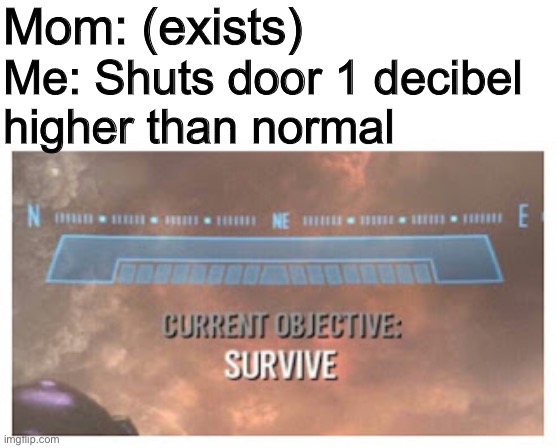Meme about mom’s anger issues | Mom: (exists); Me: Shuts door 1 decibel 
higher than normal | image tagged in current objective survive | made w/ Imgflip meme maker
