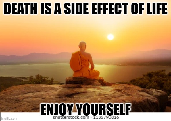 Life | DEATH IS A SIDE EFFECT OF LIFE; ENJOY YOURSELF | image tagged in monk on mountain | made w/ Imgflip meme maker