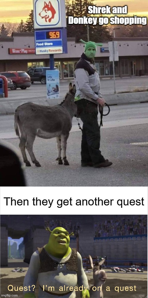 Shrek and Donkey go shopping | Shrek and Donkey go shopping; Then they get another quest | image tagged in quest i'm already on a quest | made w/ Imgflip meme maker