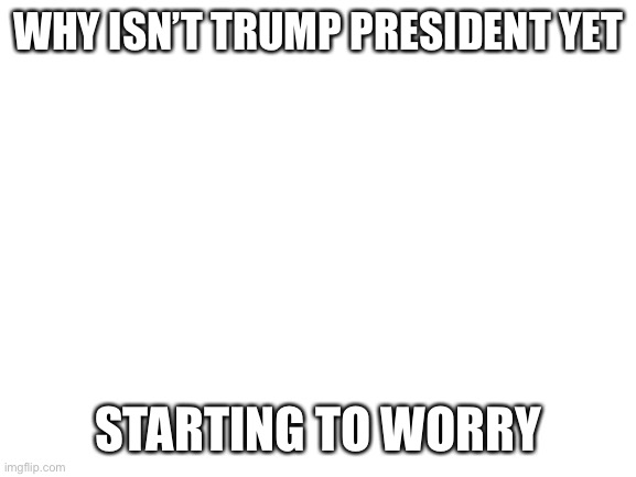 what’s going on guys | WHY ISN’T TRUMP PRESIDENT YET; STARTING TO WORRY | image tagged in blank white template,mike lindell,trump inauguration,whats,going,on | made w/ Imgflip meme maker