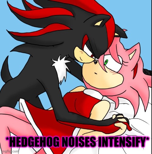 Hedgehog love! | *HEDGEHOG NOISES INTENSIFY* | image tagged in shadow the hedgehog,amy rose,now it s time to get funky,love,hedgehog | made w/ Imgflip meme maker