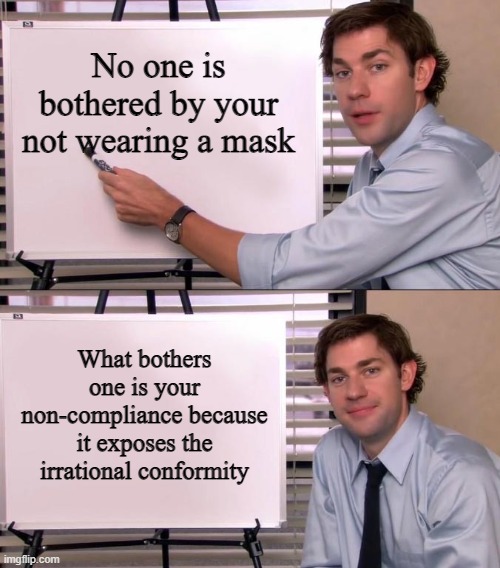 Jim Halpert Explains | No one is bothered by your not wearing a mask; What bothers one is your non-compliance because it exposes the irrational conformity | image tagged in jim halpert explains | made w/ Imgflip meme maker