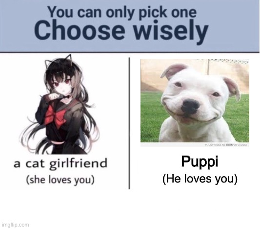 Choose wisely, child |  Puppi; (He loves you) | image tagged in choose wisely | made w/ Imgflip meme maker