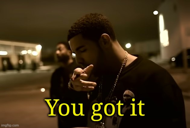 Drizzy got it | You got it | image tagged in drizzy got it | made w/ Imgflip meme maker