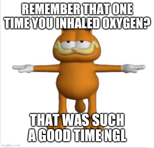 I miss these days | REMEMBER THAT ONE TIME YOU INHALED OXYGEN? THAT WAS SUCH A GOOD TIME NGL | image tagged in garfield t-pose | made w/ Imgflip meme maker