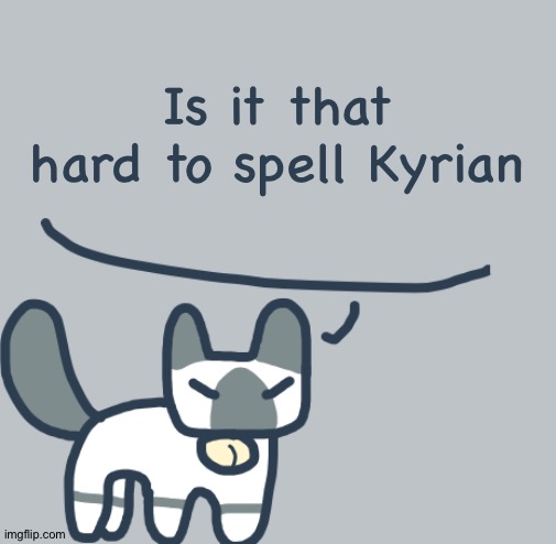 Kryian | Is it that hard to spell Kyrian | image tagged in cat | made w/ Imgflip meme maker