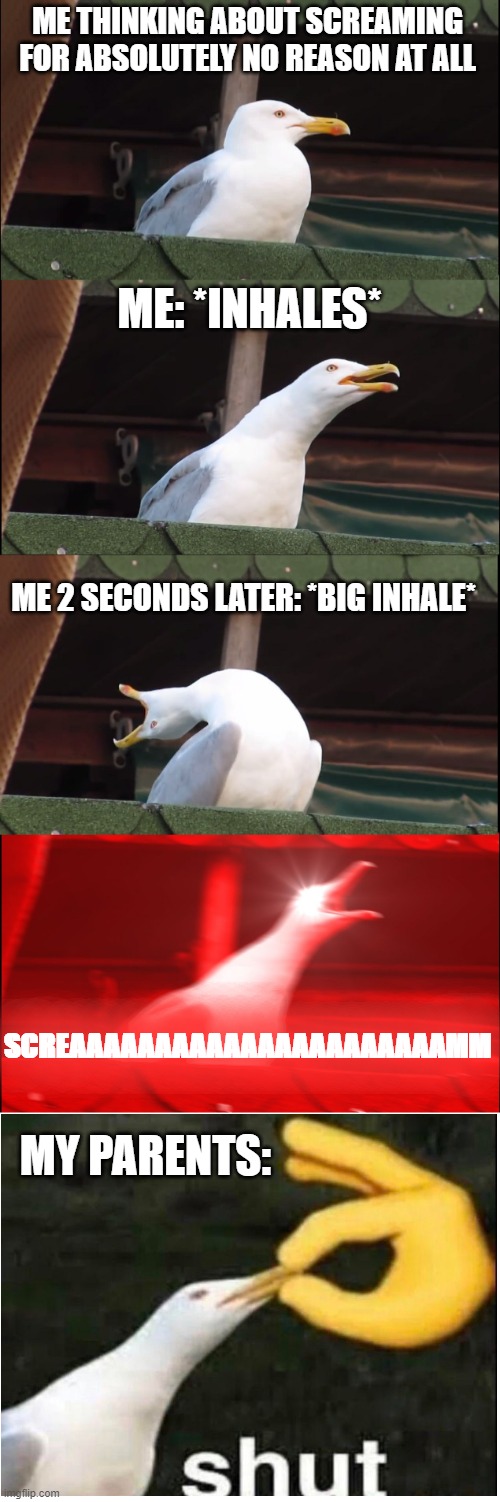 Inhaling Seagull Meme | ME THINKING ABOUT SCREAMING FOR ABSOLUTELY NO REASON AT ALL; ME: *INHALES*; ME 2 SECONDS LATER: *BIG INHALE*; SCREAAAAAAAAAAAAAAAAAAAAAAMM; MY PARENTS: | image tagged in memes,inhaling seagull | made w/ Imgflip meme maker