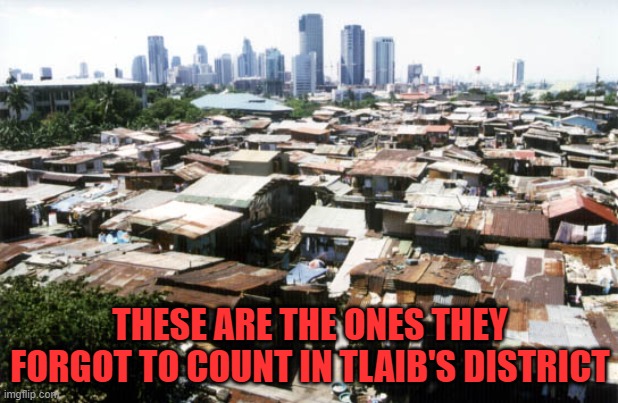detroit slums | THESE ARE THE ONES THEY FORGOT TO COUNT IN TLAIB'S DISTRICT | image tagged in detroit slums | made w/ Imgflip meme maker