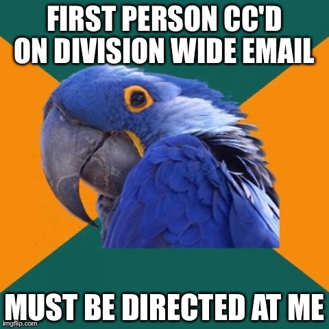 Paranoid Parrot Meme | FIRST PERSON CC'D ON DIVISION WIDE EMAIL  MUST BE DIRECTED AT ME | image tagged in memes,paranoid parrot | made w/ Imgflip meme maker