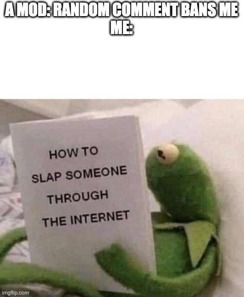 Kermit How to slap someone through the internet | A MOD: RANDOM COMMENT BANS ME
ME: | image tagged in kermit how to slap someone through the internet | made w/ Imgflip meme maker
