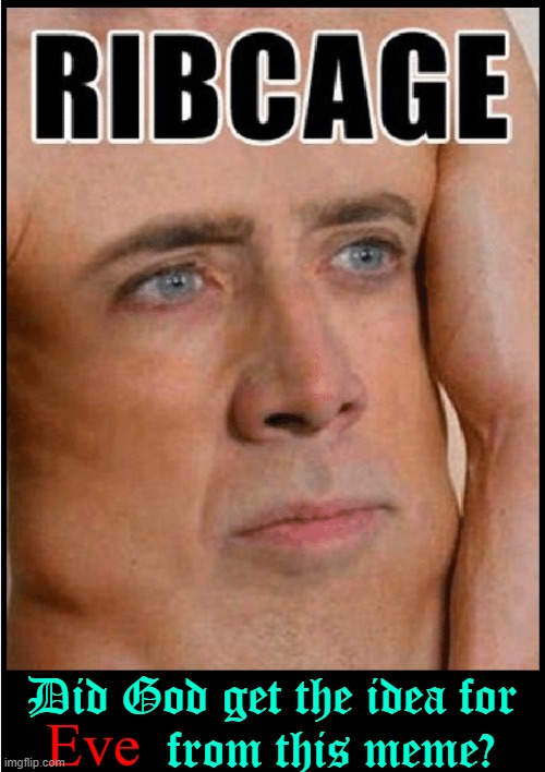 The Significance of Nicholas Cage, or at least his ribcage, to creating gender | Did God get the idea for
         from this meme? Eve | image tagged in vince vance,nicholas cage,creation,in the beginning,memes,adam and eve | made w/ Imgflip meme maker