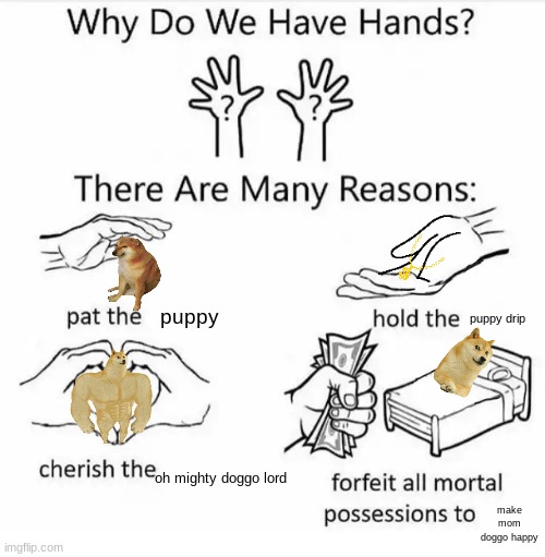 Why do we have hands? (all blank) | puppy; puppy drip; oh mighty doggo lord; make mom doggo happy | image tagged in why do we have hands all blank | made w/ Imgflip meme maker