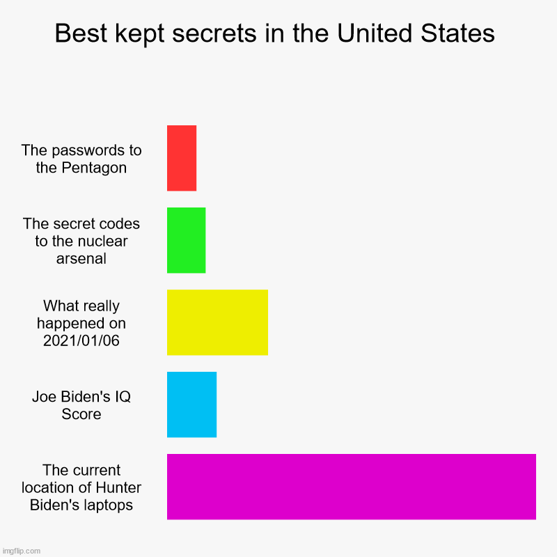 Shhhh... | Best kept secrets in the United States | The passwords to the Pentagon, The secret codes to the nuclear arsenal, What really happened on 202 | image tagged in charts,bar charts,joe biden,hunter biden | made w/ Imgflip chart maker