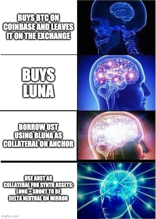 Lunatics | BUYS BTC ON COINBASE AND LEAVES IT ON THE EXCHANGE; BUYS LUNA; BORROW UST USING BLUNA AS COLLATERAL ON ANCHOR; USE AUST AS COLLATERAL FOR SYNTH ASSETS: LONG + SHORT TO BE DELTA NEUTRAL ON MIRROR | image tagged in memes,expanding brain | made w/ Imgflip meme maker